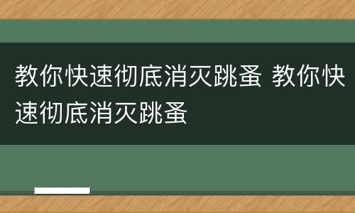 教你快速彻底消灭跳蚤 教你快速彻底消灭跳蚤