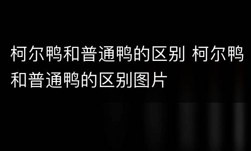 柯尔鸭和普通鸭的区别 柯尔鸭和普通鸭的区别图片
