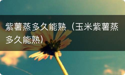 紫薯蒸多久能熟（玉米紫薯蒸多久能熟）