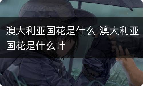 澳大利亚国花是什么 澳大利亚国花是什么叶