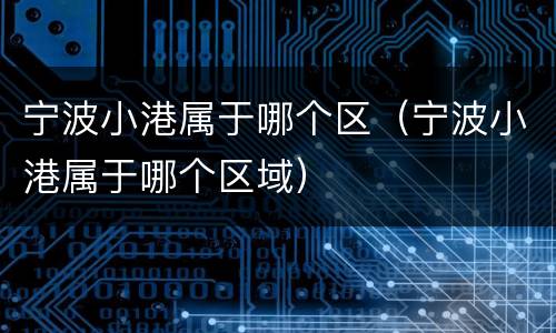 宁波小港属于哪个区（宁波小港属于哪个区域）