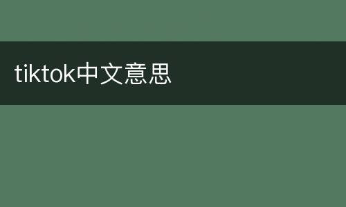 tiktok中文意思