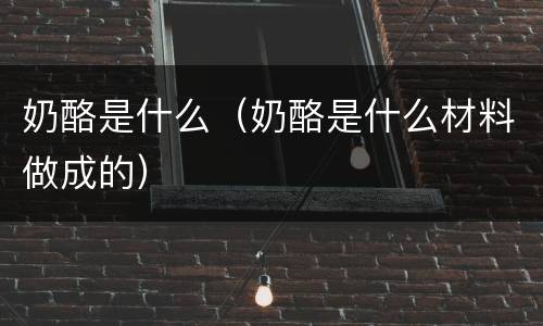 奶酪是什么（奶酪是什么材料做成的）