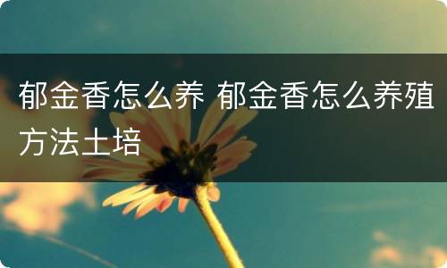 郁金香怎么养 郁金香怎么养殖方法土培