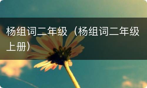 杨组词二年级（杨组词二年级上册）