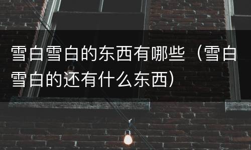 雪白雪白的东西有哪些（雪白雪白的还有什么东西）
