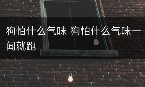 狗怕什么气味 狗怕什么气味一闻就跑