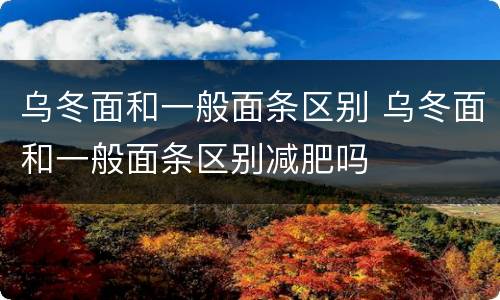 乌冬面和一般面条区别 乌冬面和一般面条区别减肥吗
