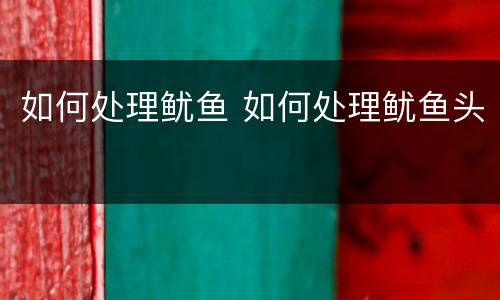 如何处理鱿鱼 如何处理鱿鱼头