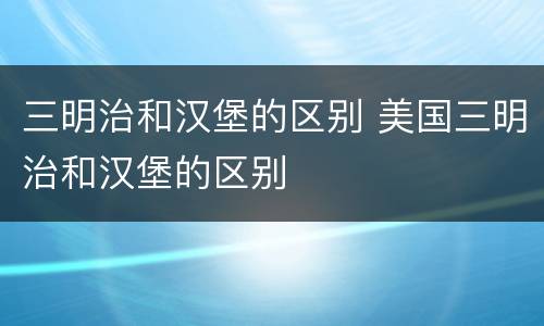 三明治和汉堡的区别 美国三明治和汉堡的区别