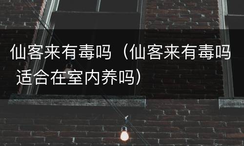 仙客来有毒吗（仙客来有毒吗 适合在室内养吗）