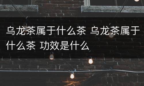 乌龙茶属于什么茶 乌龙茶属于什么茶 功效是什么