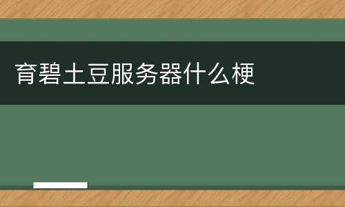 育碧土豆服务器什么梗