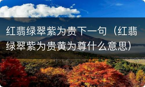 红翡绿翠紫为贵下一句（红翡绿翠紫为贵黄为尊什么意思）