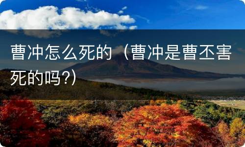 曹冲怎么死的（曹冲是曹丕害死的吗?）