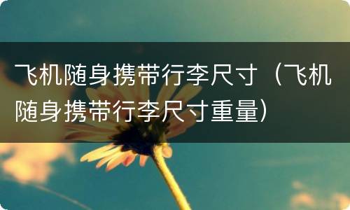 飞机随身携带行李尺寸（飞机随身携带行李尺寸重量）