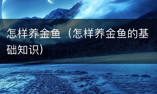 怎样养金鱼（怎样养金鱼的基础知识）