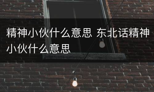 精神小伙什么意思 东北话精神小伙什么意思
