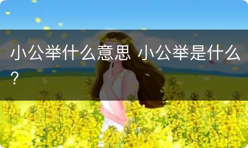 小公举什么意思 小公举是什么?