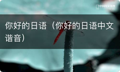 你好的日语（你好的日语中文谐音）