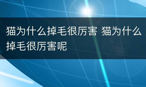 猫为什么掉毛很厉害 猫为什么掉毛很厉害呢