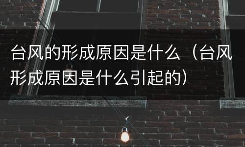 台风的形成原因是什么（台风形成原因是什么引起的）