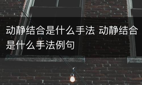 动静结合是什么手法 动静结合是什么手法例句