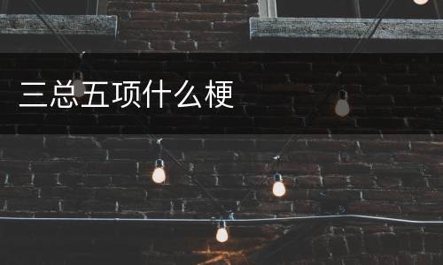 三总五项什么梗