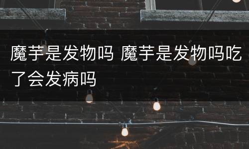魔芋是发物吗 魔芋是发物吗吃了会发病吗