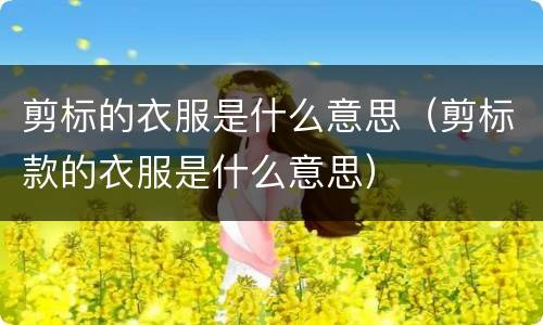 剪标的衣服是什么意思（剪标款的衣服是什么意思）