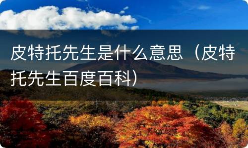 皮特托先生是什么意思（皮特托先生百度百科）