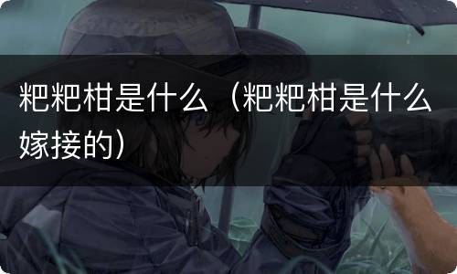 粑粑柑是什么（粑粑柑是什么嫁接的）