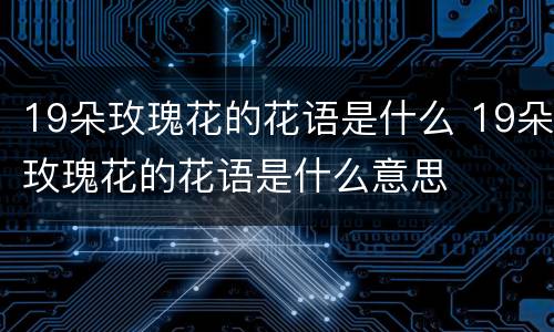 19朵玫瑰花的花语是什么 19朵玫瑰花的花语是什么意思