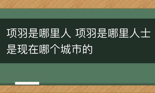 项羽是哪里人 项羽是哪里人士是现在哪个城市的