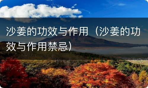 沙姜的功效与作用（沙姜的功效与作用禁忌）