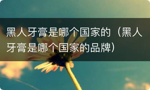 黑人牙膏是哪个国家的（黑人牙膏是哪个国家的品牌）