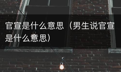 官宣是什么意思（男生说官宣是什么意思）