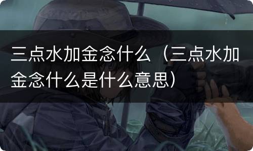 三点水加金念什么（三点水加金念什么是什么意思）