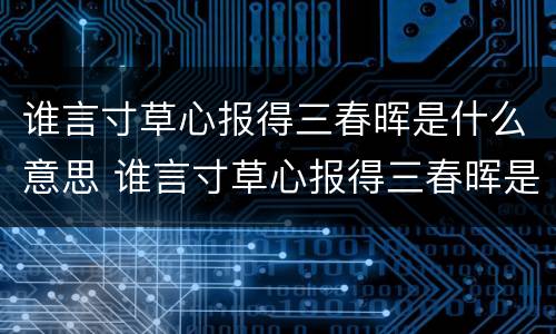 谁言寸草心报得三春晖是什么意思 谁言寸草心报得三春晖是什么意思表达了诗人怎样的感情