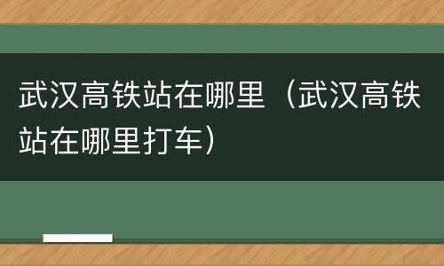 武汉高铁站在哪里（武汉高铁站在哪里打车）