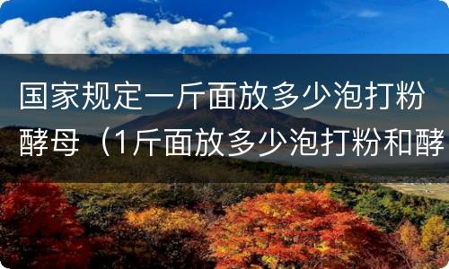 国家规定一斤面放多少泡打粉酵母（1斤面放多少泡打粉和酵母?）