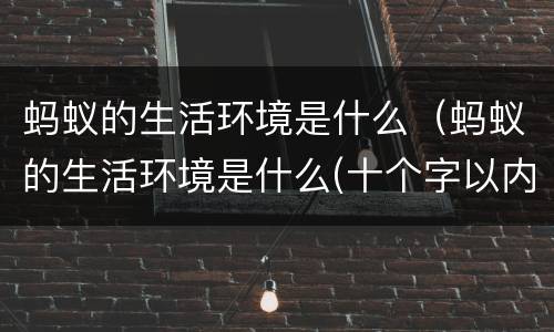 蚂蚁的生活环境是什么（蚂蚁的生活环境是什么(十个字以内）