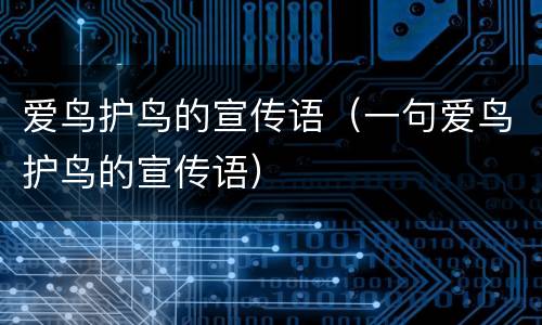 爱鸟护鸟的宣传语（一句爱鸟护鸟的宣传语）
