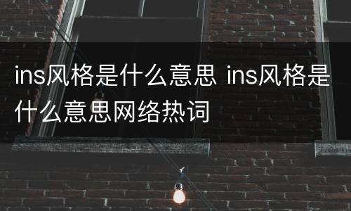 ins风格是什么意思 ins风格是什么意思网络热词