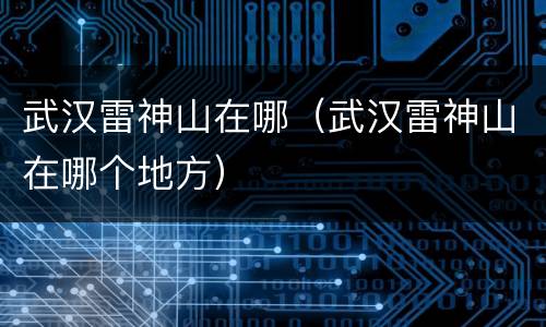 武汉雷神山在哪（武汉雷神山在哪个地方）