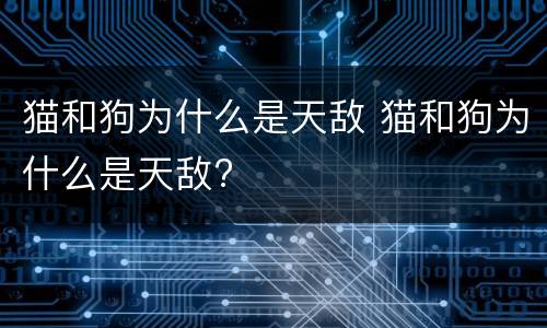 猫和狗为什么是天敌 猫和狗为什么是天敌?