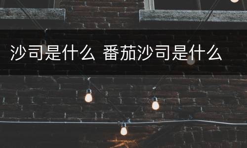 沙司是什么 番茄沙司是什么