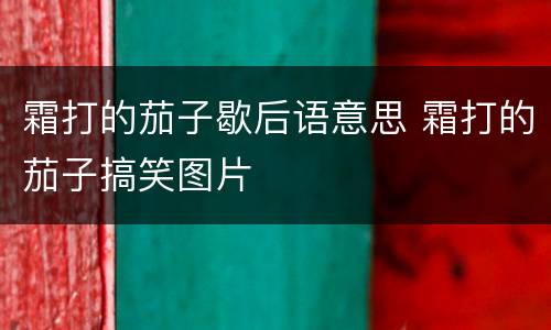 霜打的茄子歇后语意思 霜打的茄子搞笑图片