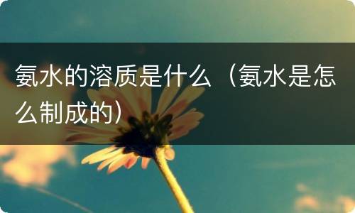 氨水的溶质是什么（氨水是怎么制成的）