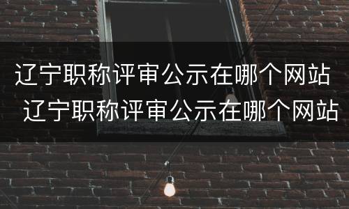 辽宁职称评审公示在哪个网站 辽宁职称评审公示在哪个网站查询